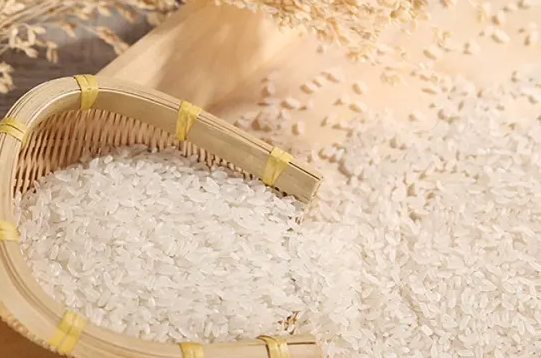 吃什么東西又飽又減肥